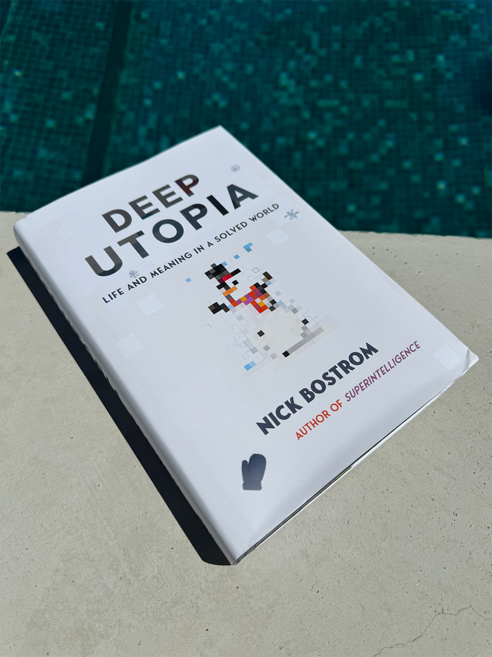 A copy of Deep Utopia outside near a pool